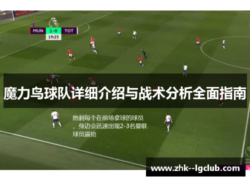 魔力鸟球队详细介绍与战术分析全面指南