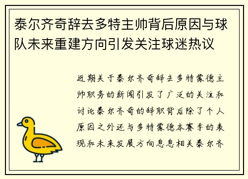 泰尔齐奇辞去多特主帅背后原因与球队未来重建方向引发关注球迷热议