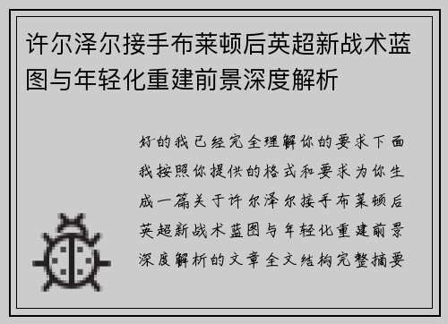 许尔泽尔接手布莱顿后英超新战术蓝图与年轻化重建前景深度解析